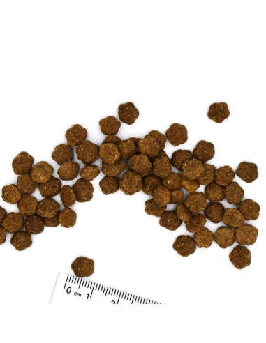 VETSOLUTION CAT-DIABETIC 1,5 kg