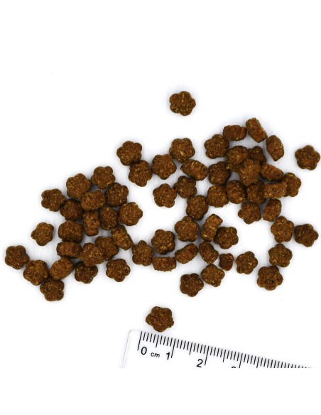 OUTLET VETSOLUTION CAT-OBESITY 400G