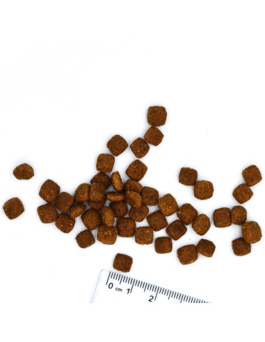 VETSOLUTION CAT-RENAL 1.5 KG