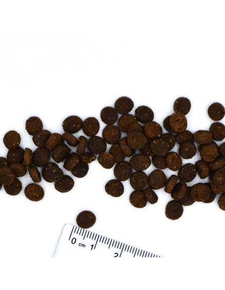 KITTEN HÜHNCHEN 10KG