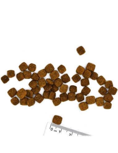 VETSOLUTION CAT-URINARY STRUVITE 1,5KG