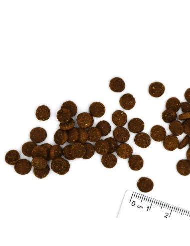 CAT ADULT RABBIT 1.5 kg