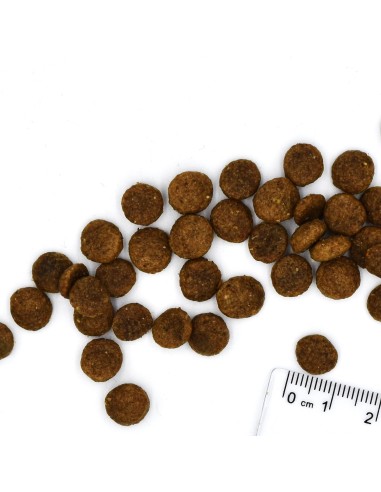 CAT BWILD GRAIN FREE LARGE BREEDS buffalo 1.5 kg