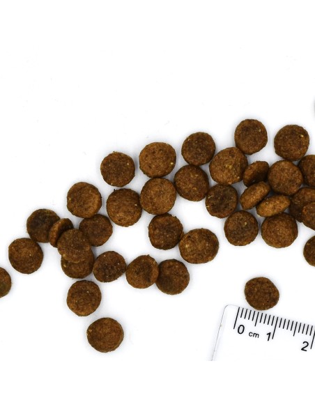 CAT BWILD GRAIN FREE LARGE BREEDS buffalo 1.5 kg