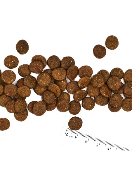 OUTLET MONGE MEDIUM PUPPY & JUNIOR 3KG