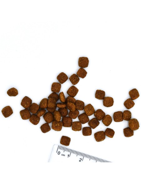 OUTLET VETSOLUTION CAT-RENAL 400G