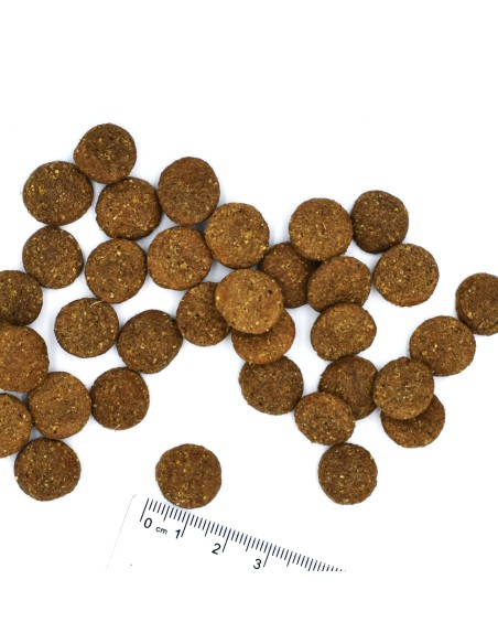 copy of DOG ADULT RINDFLEISCH UND REIS 2,5 kg