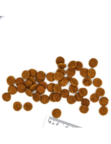 OUTLET CAT ADULT KURCZAK 1,5KG