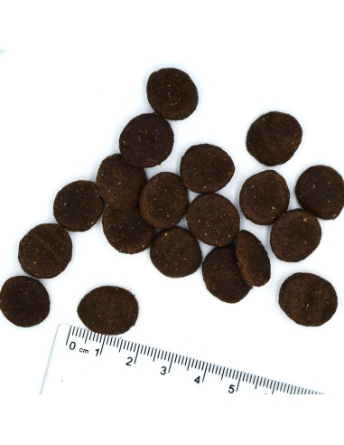 copy of BWILD GRAIN FREE DOG LAMM MIT ERBSEN...