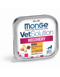 MONGE VETSOLUTION CAT-RECOVERY 100G