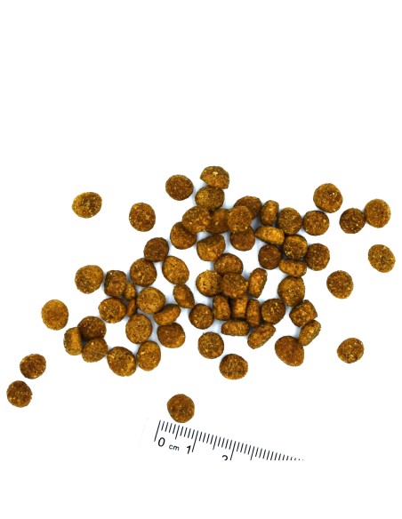 OUTLET CAT STERILISED KURCZAK 10kg