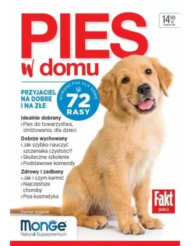 Pies w domu - poradnik